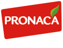 _Group_